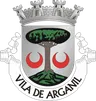Brasão do município de Arganil
