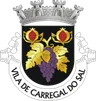 Brasão do município de Carregal do Sal