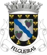 Brasão do município de Felgueiras