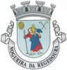 Brasão de Nogueira da Regedoura