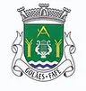 Brasão de Golães