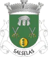 Brasão de Salselas