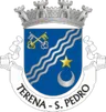 Brasão de Terena (São Pedro)