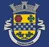 Brasão de Travancinha