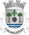 Brasão de Caranguejeira