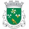 Brasão de Gaeiras