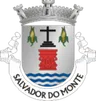 Brasão de Salvador do Monte