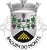 Brasão de Baguim do Monte (Rio Tinto)