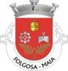 Brasão de Folgosa