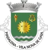 Brasão de Madalena