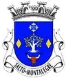 Brasão de Salto
