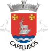 Brasão de Capeludos