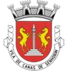 Brasão de Canas de Senhorim