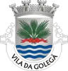 Brasão do município de Golegã