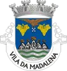 Brasão do município de Madalena