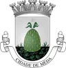 Brasão do município de Mêda