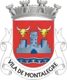 Brasão do município de Montalegre