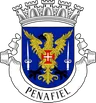 Brasão do município de Penafiel