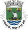 Brasão do município de Peso da Régua