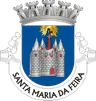 Brasão do município de Santa Maria da Feira