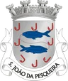 Brasão do município de São João da Pesqueira